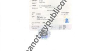 办理法国使用的出生公证书+海牙附加证明书，中国公证处海外服务中心