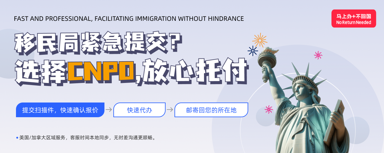 中国无犯罪公证书
